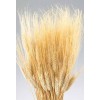 WHEAT Natural 30" (BULK)